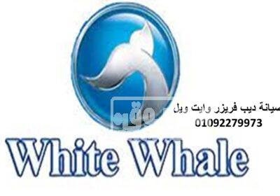 اصلاح فريزر وايت ويل كفر شكر 01129347771 ديب-فريزر-وايت-ويل-1
